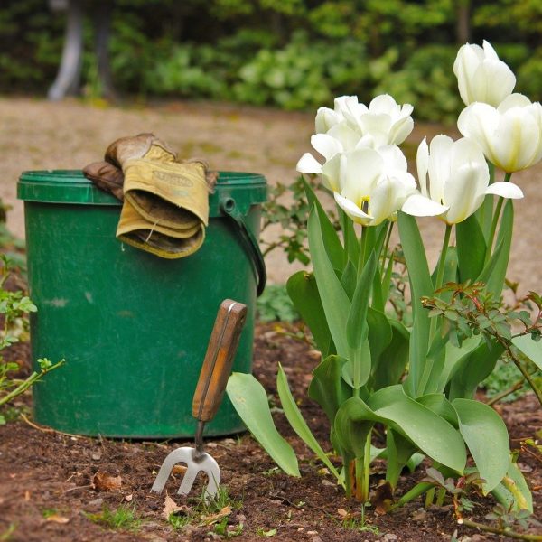 Entretien de massifs jardin normand