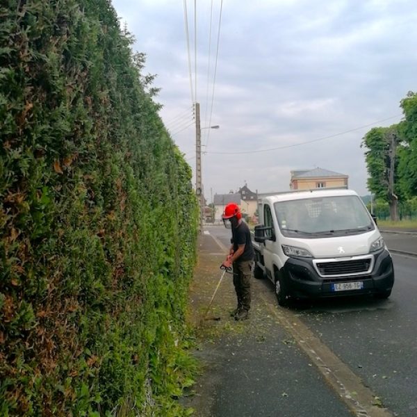 Travaux de débroussaillage